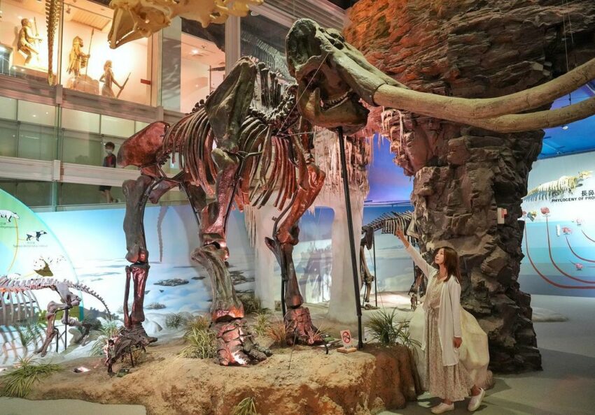 台南景點推薦|36個台南一日遊行程路線!市區/安平/七股/仁德怎麼玩?來台南旅遊看這篇 台南景點推薦|36個台南一日遊行程路線!市區/安平/七股/仁德怎麼玩?來台南旅遊看這篇