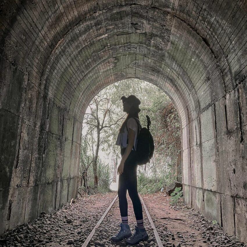阿里山郵輪式巴士｜郵輪式列車玩法，不開車也能暢玩阿里山！