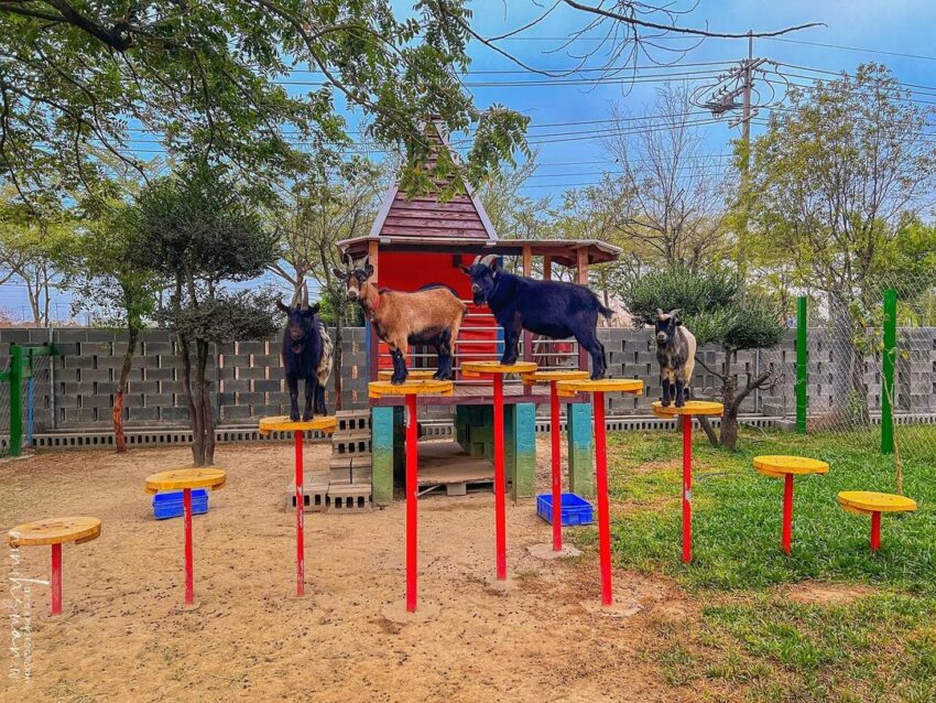 嘉義景點推薦|40個嘉義新景點&嘉義一日遊路線!跟著嘉義景點地圖一起玩 嘉義景點推薦|40個嘉義新景點&嘉義一日遊路線!跟著嘉義景點地圖一起玩