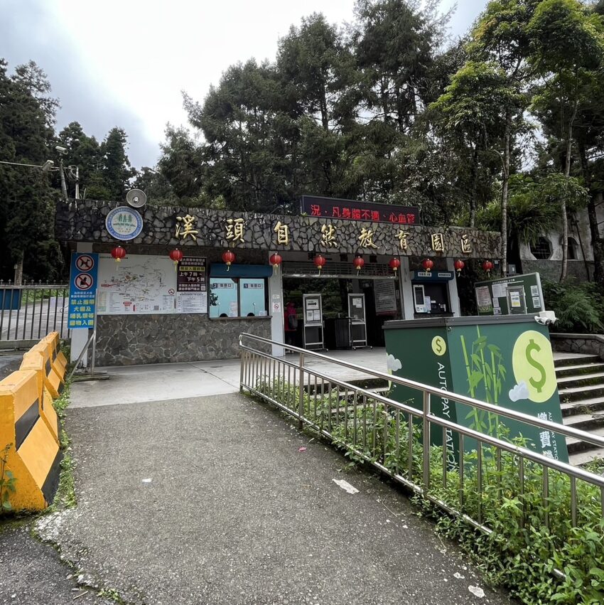 溪頭竹山二日遊｜輕鬆乘台灣好行溪頭線，來場深度的知性之旅吧