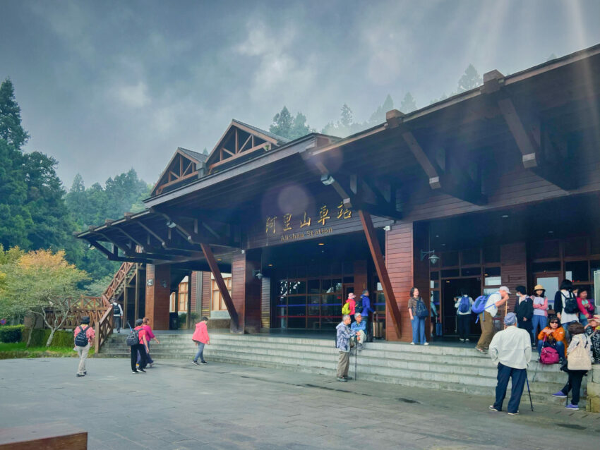 阿里山郵輪式巴士｜郵輪式列車玩法，不開車也能暢玩阿里山！