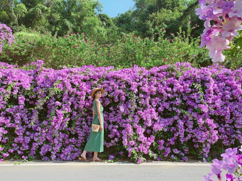 【苗栗景點推薦】精選70個苗栗親子/約會/免費景點，多條苗栗一日遊路線推薦