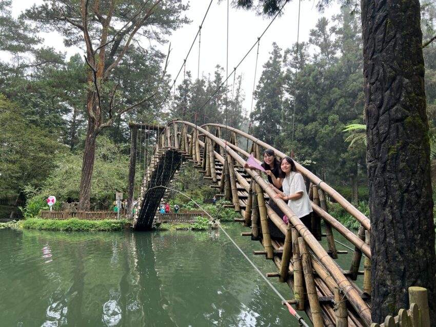 台灣好行溪頭,溪頭竹山 溪頭竹山二日遊｜輕鬆乘台灣好行溪頭線，來場深度的知性之旅吧 3 2026