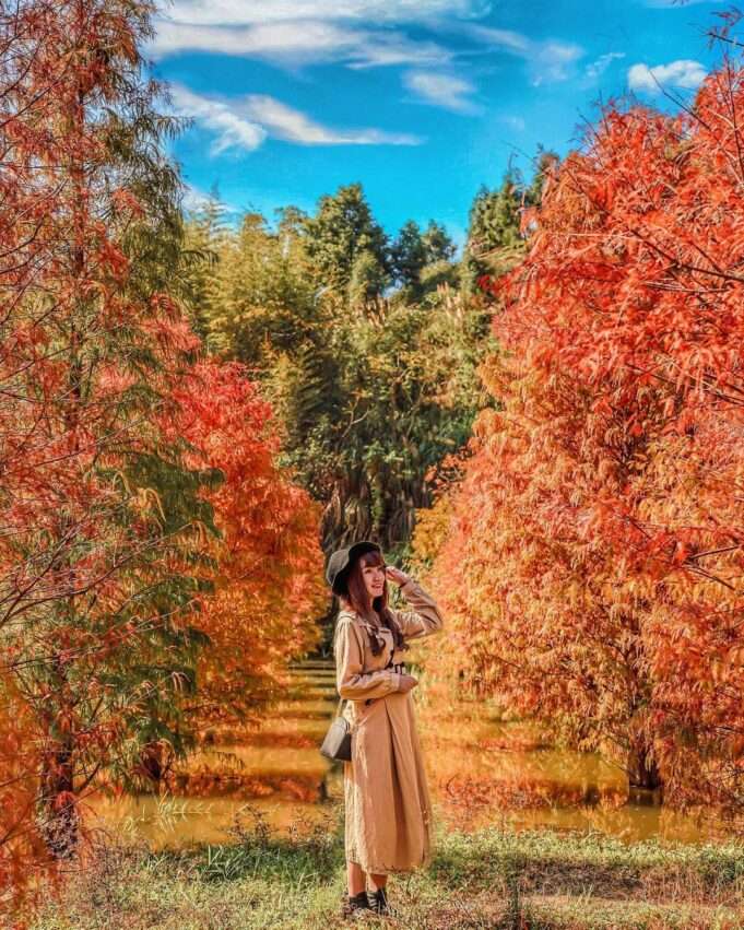 【苗栗景點推薦】精選70個苗栗親子/約會/免費景點，多條苗栗一日遊路線推薦