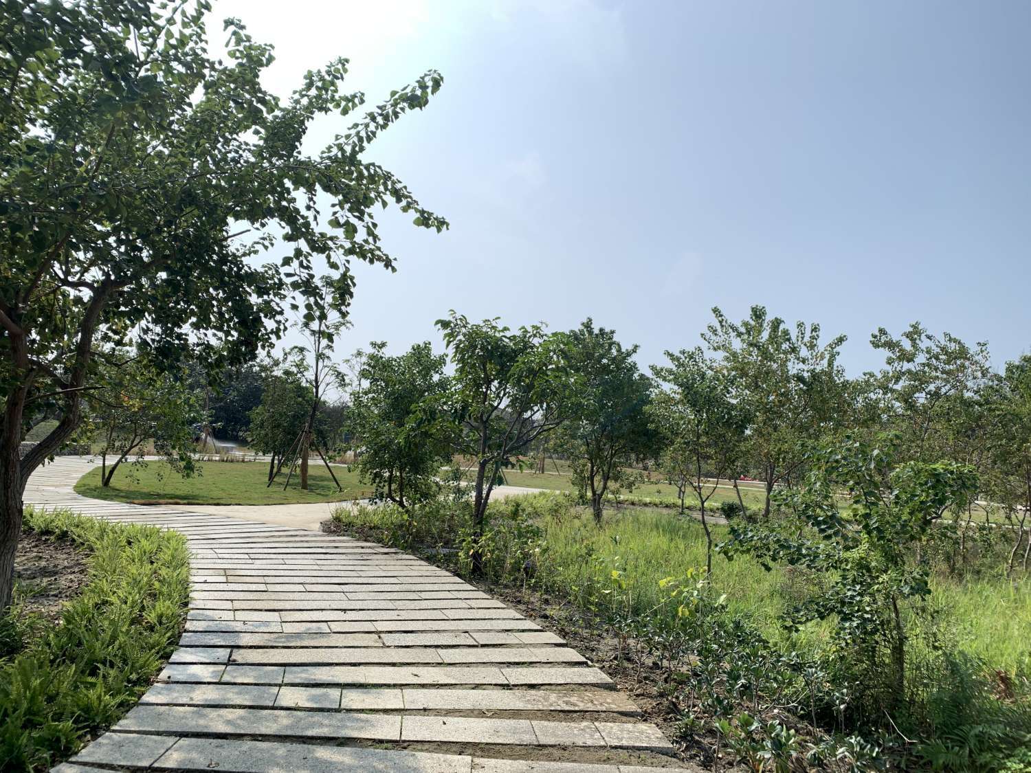 新竹城市美學打卡亮點 吸睛指數爆表 9 2026