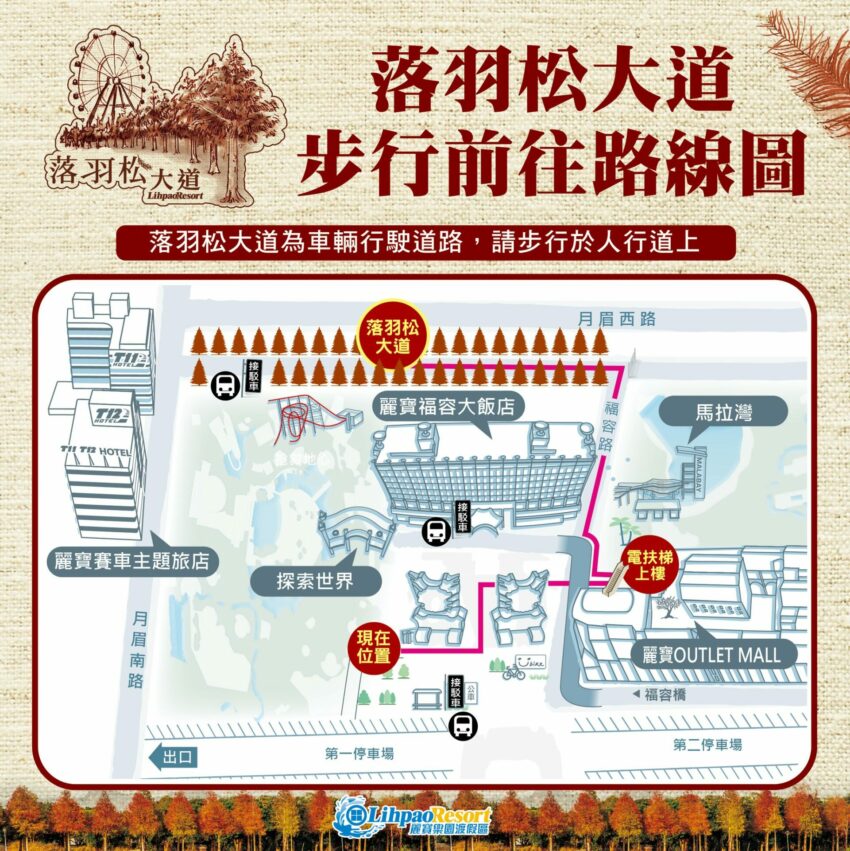 麗寶樂園門票優惠｜熊大小鎮＆必玩設施＆麗寶摩天輪&絕美落羽松大道，交通住宿懶人包