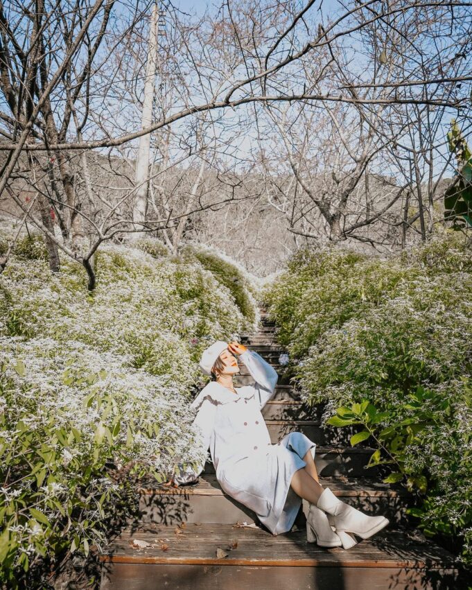 新社景點不只花海！推薦8個夢幻新社秘境、假日就來探索莊園古堡、絕美花園、特色菇菇餐廳