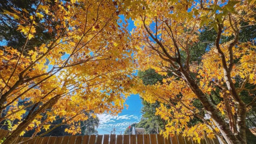 【台北景點推薦】精選100個台北活動及台北一日遊景點！台北旅遊不可錯過的台北捷運景點