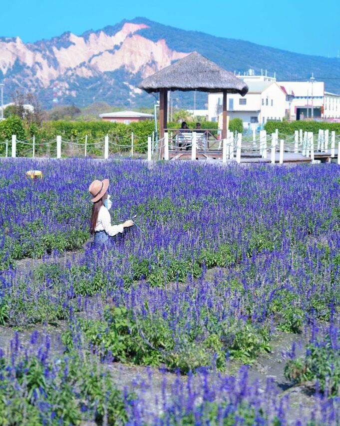 后里景點一日遊｜舊山線圳磚橋、后里馬場、中社花海、秘境景點、觀光工廠推薦