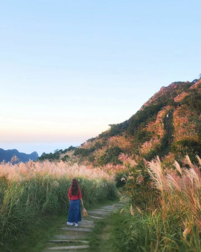【新北景點推薦】新北一日遊好玩景點！最新新北旅遊景點地圖全攻略