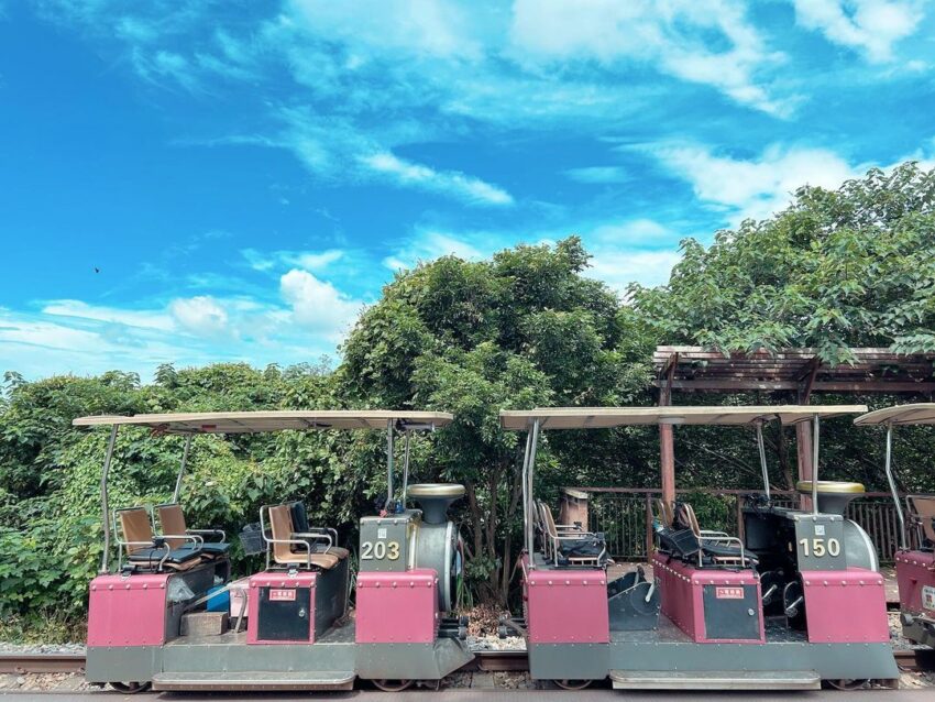 苗栗三義【舊山線鐵道自行車】一日遊，最完整舊山線網路訂票攻略/路線推薦懶人包