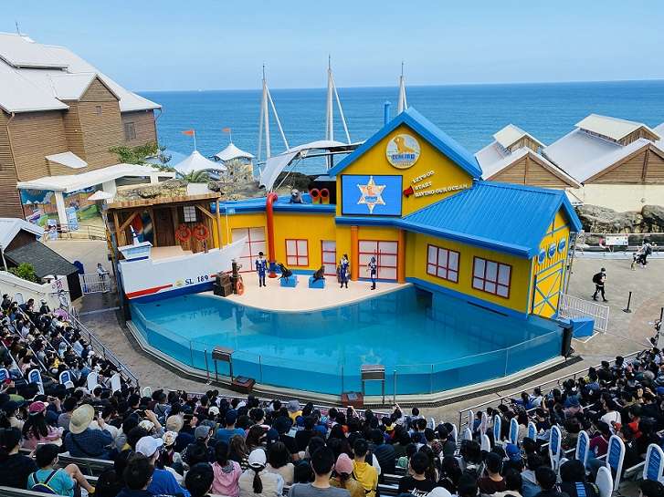 【花蓮遠雄海洋公園】門票優惠，最新活動/美人魚實境秀/夜宿水族館/住宿推薦