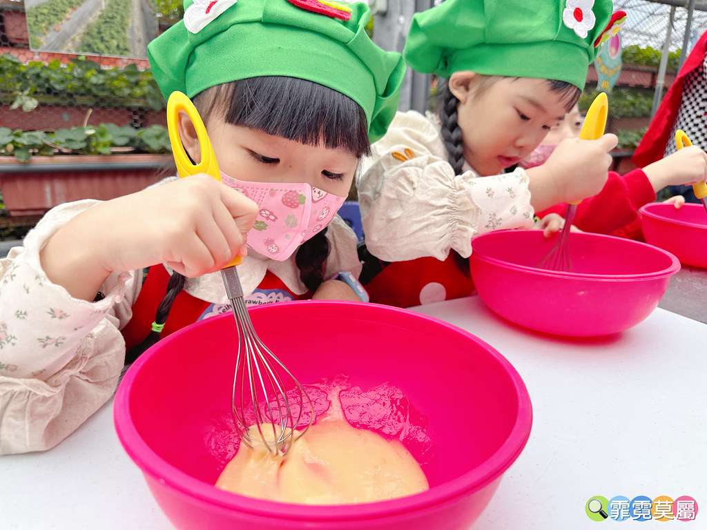 ★台北親子景點★ 內湖草莓園,期間限定小小草莓職人體驗,DI S__111165489_0