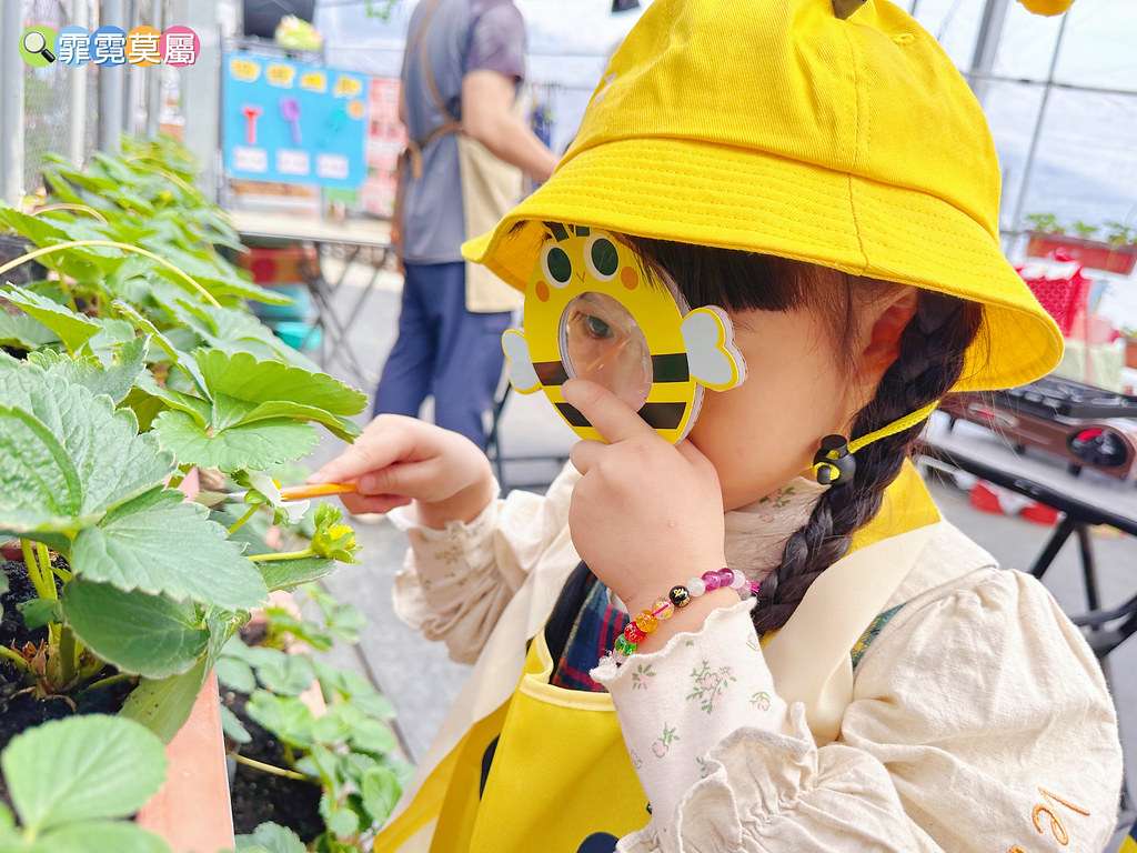 ★台北親子景點★ 內湖草莓園,期間限定小小草莓職人體驗,DI S__111165467_0