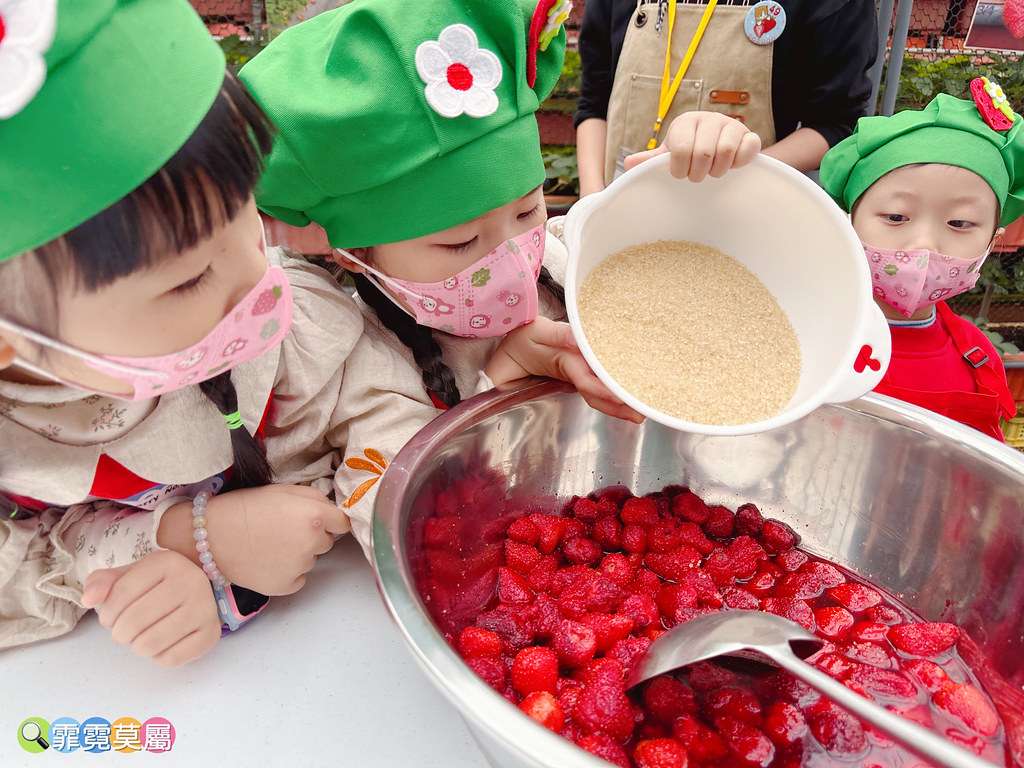 ★台北親子景點★ 內湖草莓園,期間限定小小草莓職人體驗,DI S__111165495_0