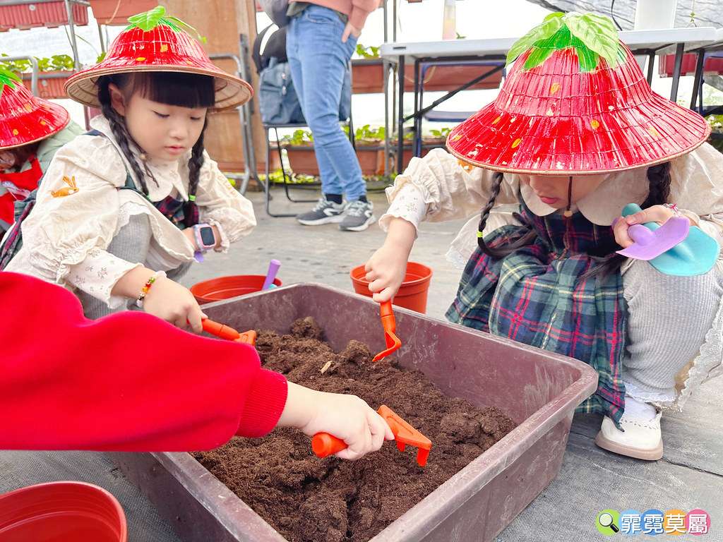 ★台北親子景點★ 內湖草莓園,期間限定小小草莓職人體驗,DI S__111165482_0