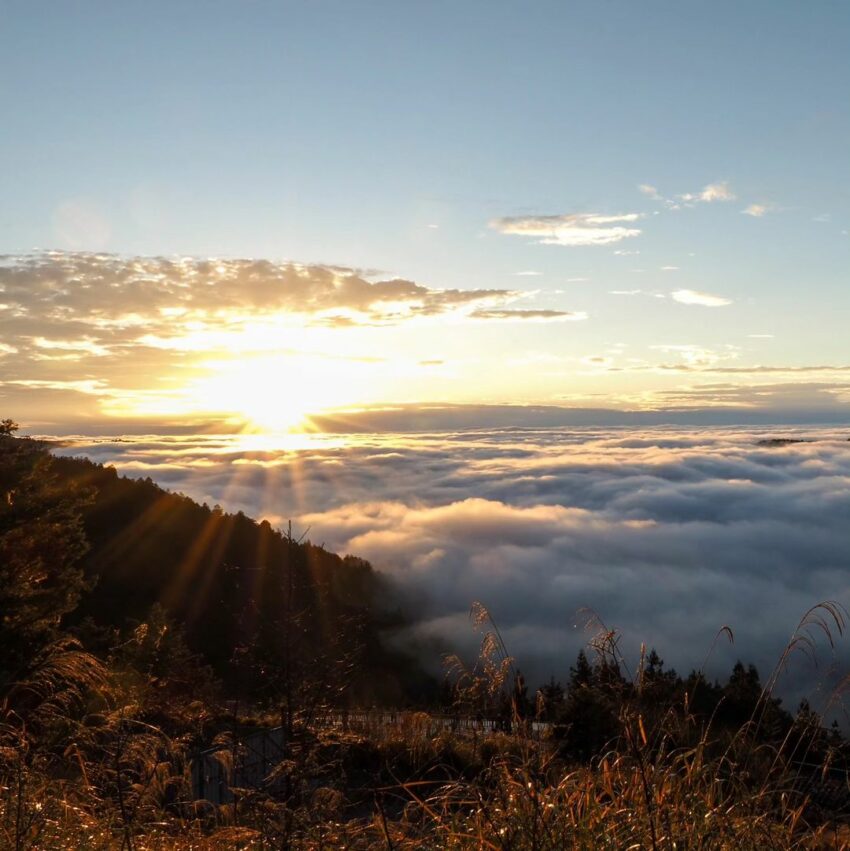 太平山 【太平山國家森林遊樂區】宜蘭太平山一日遊,2026門票優惠與太平山住宿景點推薦 1 2026