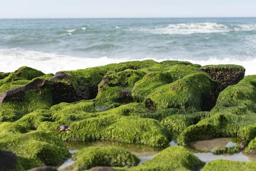 東北角景點一日遊》推薦20個最美東北海岸景點、北部賞海一日遊打卡推薦