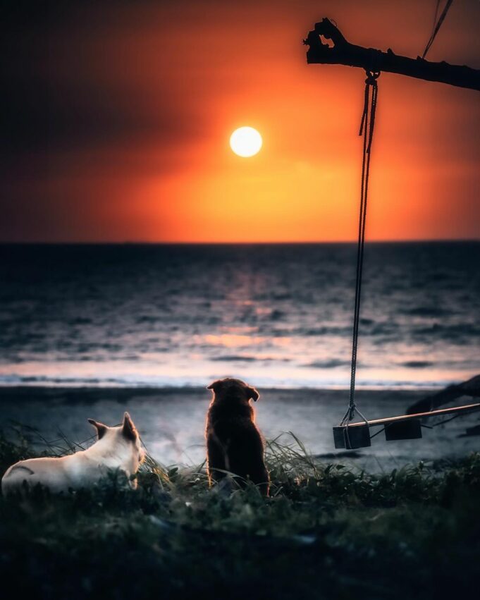 【高雄景點推薦】精選高雄必去景點，多條高雄旅遊路線攻略