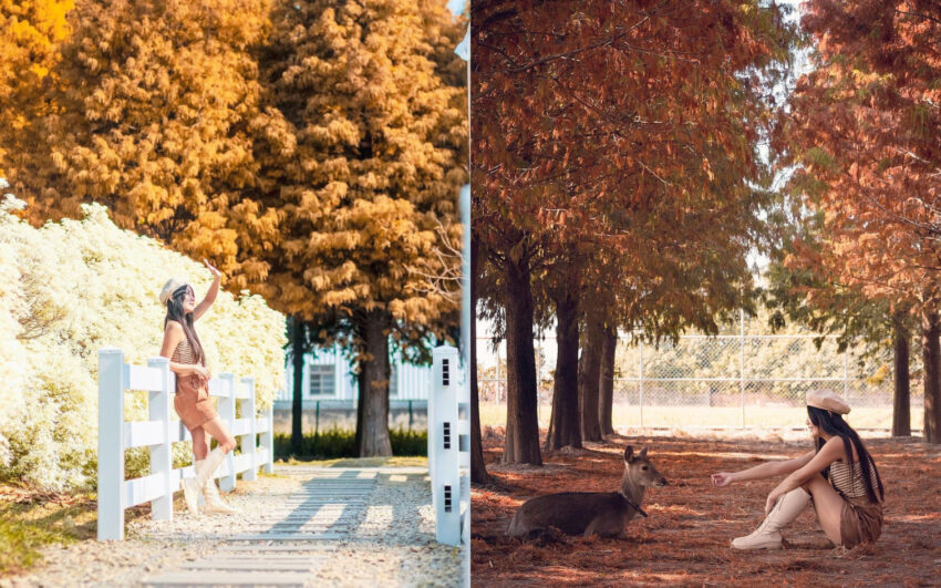 雲林景點推薦｜20個雲林最佳旅遊景點！必收藏的雲林旅遊攻略、門票優惠