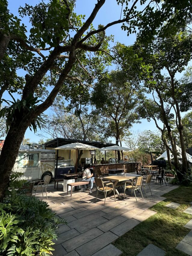 嘉義新景點，好玩又好萌的【咩咩上樹萌寵樂園】等你來體驗，最新門票優惠與園區資訊懶人包