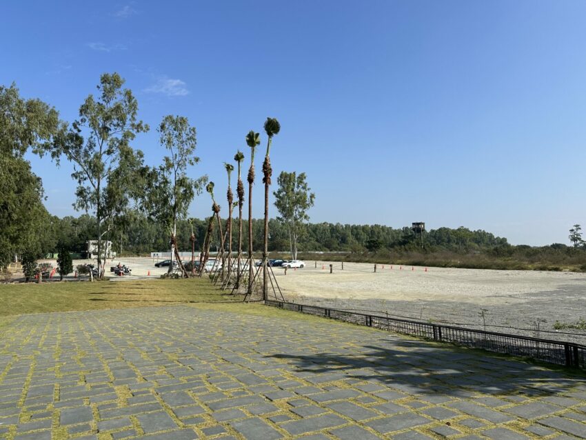 嘉義新景點，好玩又好萌的【咩咩上樹萌寵樂園】等你來體驗，最新門票優惠與園區資訊懶人包