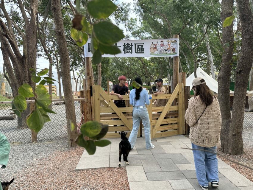 嘉義新景點，好玩又好萌的【咩咩上樹萌寵樂園】等你來體驗，最新門票優惠與園區資訊懶人包