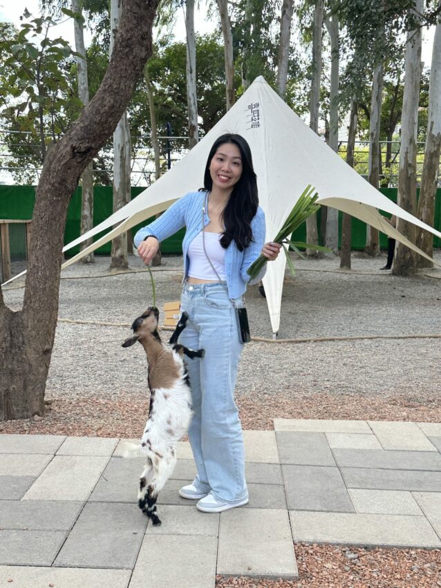 嘉義新景點，好玩又好萌的【咩咩上樹萌寵樂園】等你來體驗，最新門票優惠與園區資訊懶人包