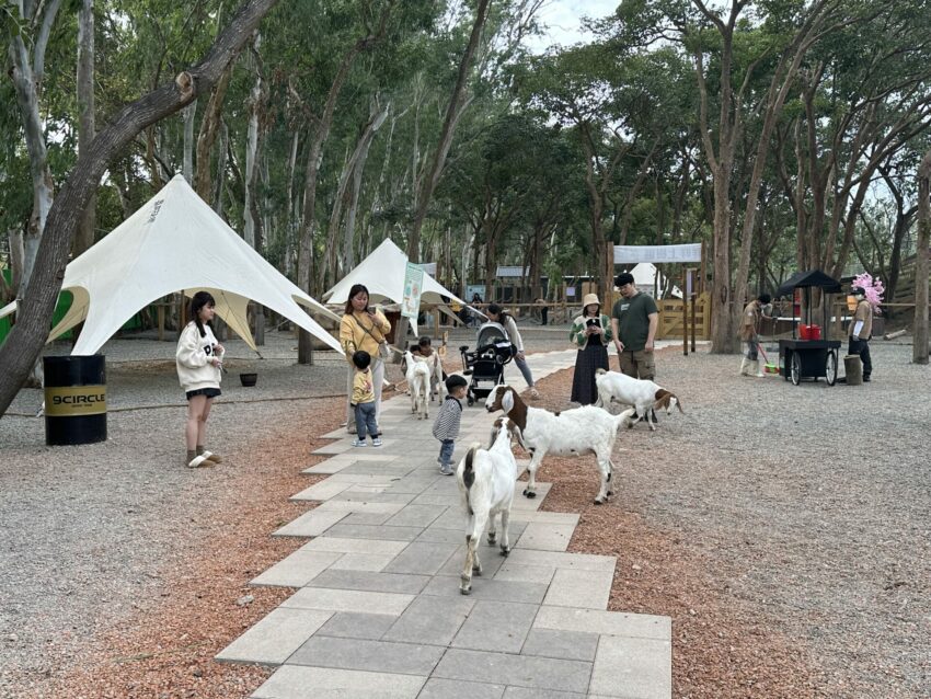 嘉義新景點，好玩又好萌的【咩咩上樹萌寵樂園】等你來體驗，最新門票優惠與園區資訊懶人包