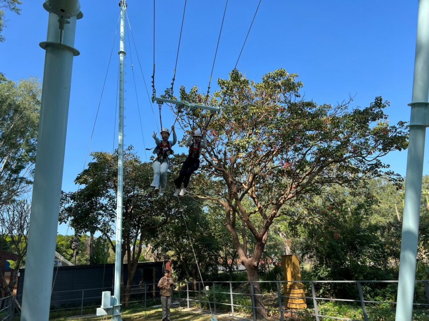 嘉義新景點，好玩又好萌的【咩咩上樹萌寵樂園】等你來體驗，最新門票優惠與園區資訊懶人包