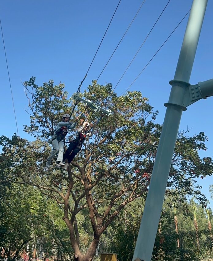 嘉義新景點，好玩又好萌的【咩咩上樹萌寵樂園】等你來體驗，最新門票優惠與園區資訊懶人包