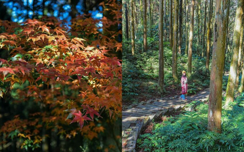 【新北景點推薦】新北一日遊好玩景點！最新新北旅遊景點地圖全攻略