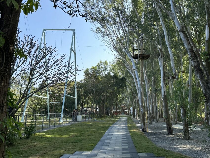 嘉義新景點，好玩又好萌的【咩咩上樹萌寵樂園】等你來體驗，最新門票優惠與園區資訊懶人包