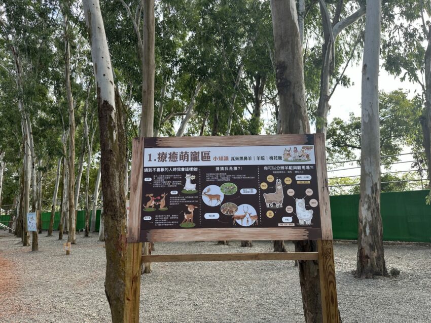 嘉義新景點，好玩又好萌的【咩咩上樹萌寵樂園】等你來體驗，最新門票優惠與園區資訊懶人包
