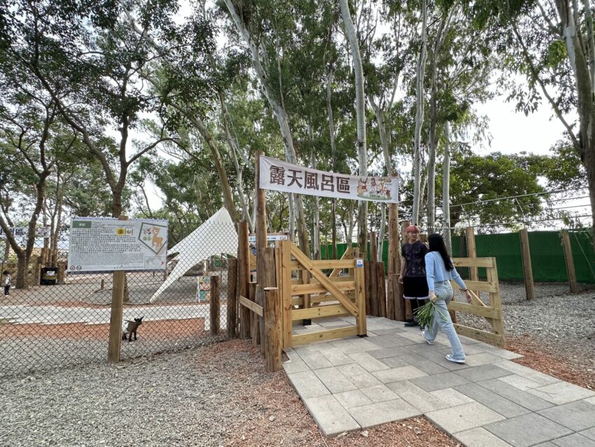 嘉義新景點，好玩又好萌的【咩咩上樹萌寵樂園】等你來體驗，最新門票優惠與園區資訊懶人包