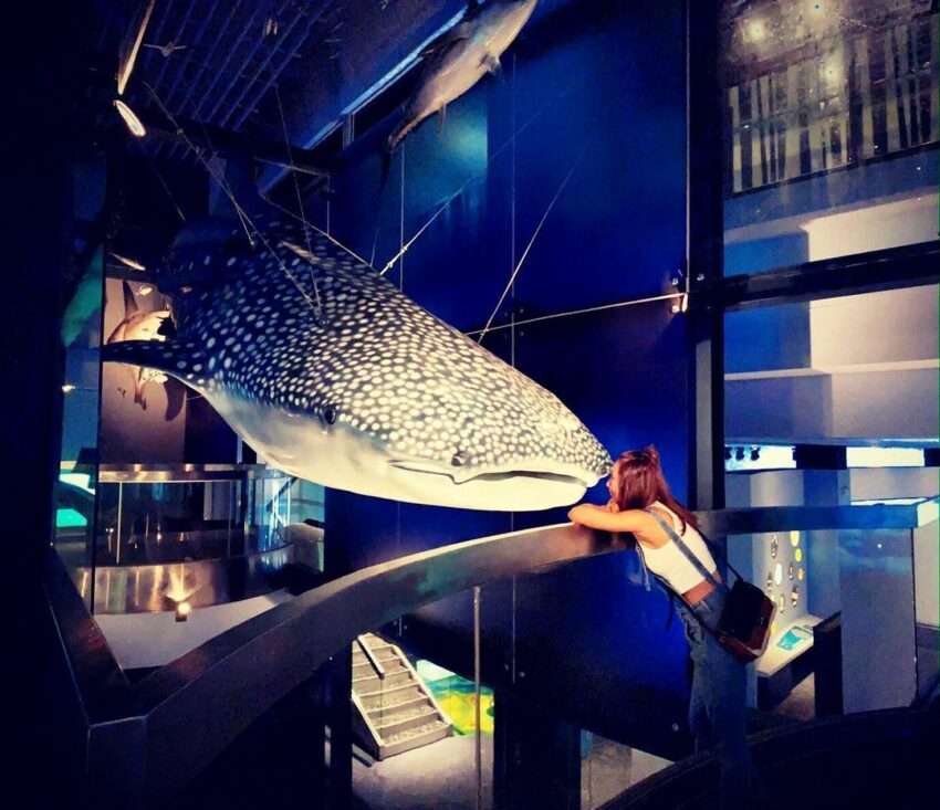 基隆海科館,博物館,科工館, 蘭陽博物館, 袖珍博物館, 海洋科博館, 科學教育博物館, 台南美術博物館, 台北博物館, 台南博物館, 計程車博物館, 鐵道博物館, 台南歷史博物館, 國立科學工藝博物館, 科學博物館, 國立台灣博物館, 台博館, 史前博物館, 國立臺灣博物館, 台南水道博物館, 蘭陽博物館門票, 恐龍博物館, 台南山上花園水道博物館, 科工館展覽, 台南軍艦, 安平定情碼頭德陽艦園區, roberty瘋狂夢想藝術園區, 歷史博物館台南, 科學工藝博物館, 麵包超人博物館, 國立臺灣博物館鐵道部園區, 计程车博物馆, 北部博物館, 中部博物館, 南部博物館, 東部博物館, 海事博物館, 鐵路博物館, 奧塞美術館, 藝術博物館, 台南化石館, 侏羅紀博物館, 科博館台北, 恐龍館, 台南恐龍博物館, 化石館, 瘋狂夢想藝術園區, 西洋博物館, 石尚自然史博物館, 台灣博物館南門園區, v&a博物館, 北投博物館, 台北歷史博物館, 台灣博物館鐵道部, 世界三大博物館, 奧賽博物館, 台北鐵道博物館, 軍事博物館, 射擊博物館, 歷史博物館台北, 大英博物館門票, 大博物展, 古生物館, 台南史前博物館, 台北恐龍博物館, 台北袖珍博物館, 臺博館, 博物館台北, 大英博物館官網, 世界博物館, 原住民博物館, 國立博物館, 恐龍化石博物館, 日清泡麵博物館, 大英博物館英文, 穹頂計畫, 台北市博物館, 博物館學會, 國立西洋美術館, 現代藝術博物館, 科學博物館台北, 有章藝術博物館, 工藝博物館, 幻覺博物館訂票, 線上博物館, 博物館日, 蒂姆沃克美妙事物, 博物館學, 國際博物館日, 台南考古館, 史博館台南, 歷史博物館門票, 台南化石博物館, 順益台灣美術館, 台南史博館, 台南自來水博物館, 國家博物館, 自然歷史博物館, 台北科學博物館, 愛博物館卡, 羅浮宮博物館, 安平定情碼頭, 郵政博物館台北館, 立體劇場, 大英博物館木乃伊, 台北博物館展覽, 蘭陽博物館營業時間, 台南台灣歷史博物館, 安平情定碼頭, 台北故宮博物館, 安平定情码头德阳舰园区, 電影博物館,