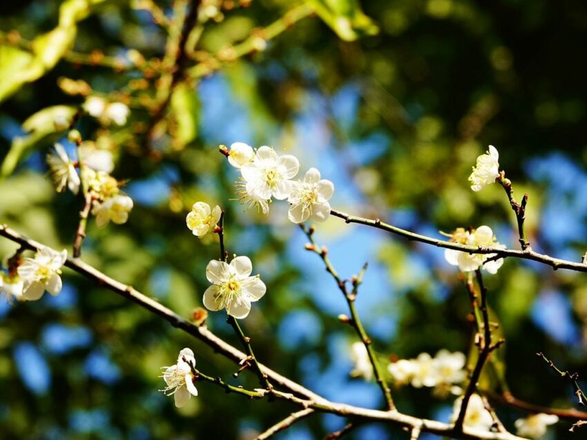 【桃園景點推薦】精選60個桃園一日遊景點,8條必玩路線攻略! 【桃園景點推薦】精選60個桃園一日遊景點,8條必玩路線攻略!