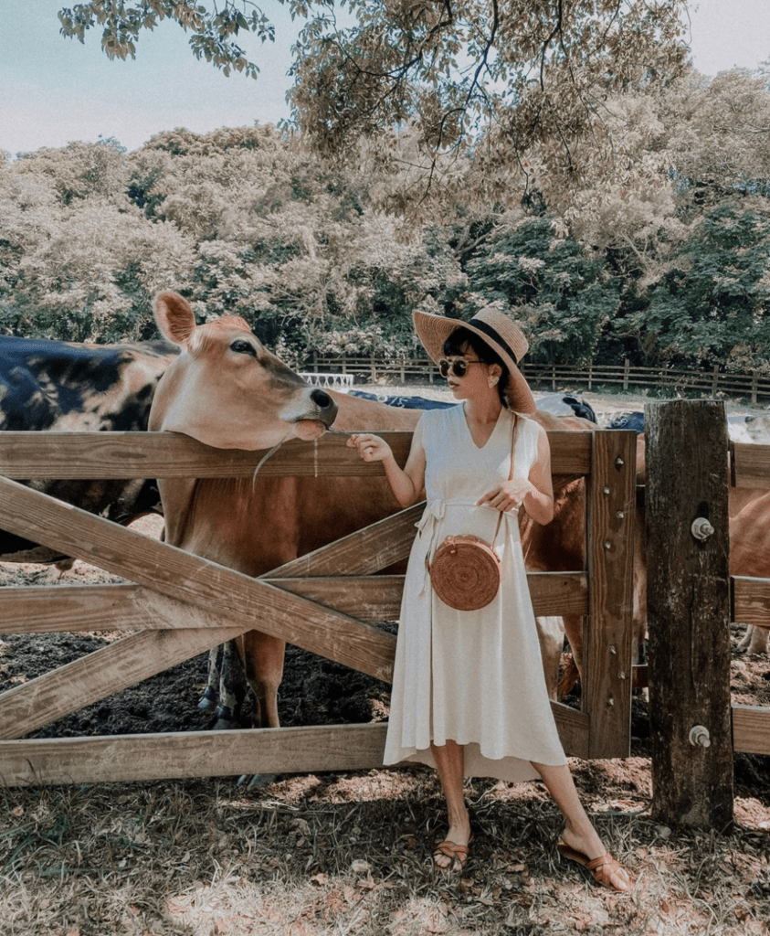 【中部親子景點推薦】精選14處新竹/苗栗/台中/南投親子景點、寓教於樂的必玩景點! 【中部親子景點推薦】精選14處新竹/苗栗/台中/南投親子景點、寓教於樂的必玩景點!