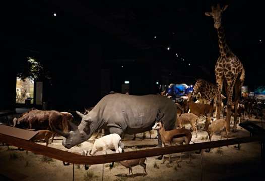 台南奇美博物館門票、最新奇美特展、常設展覽、交通攻略！