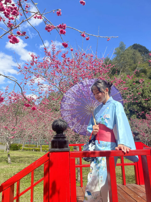 【台灣賞櫻景點】推薦全台超夯賞櫻花景點，春季賞櫻旅遊攻略【櫻花花期/賞櫻路線/交通指南】