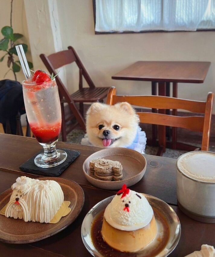 【台南咖啡廳推薦】精選10間必去台南咖啡廳，從特色老宅到文青風格的精選推薦