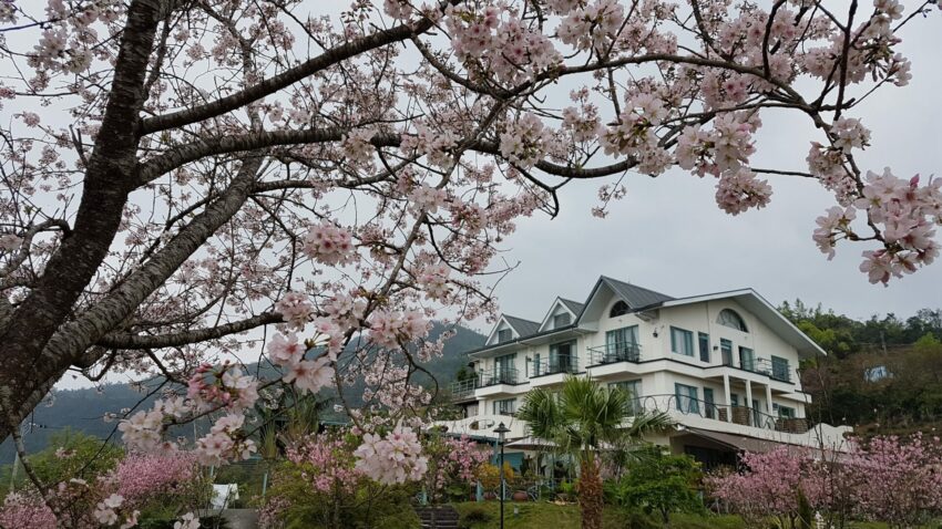 【太平山住宿推薦】精選6間宜蘭太平山民宿的好選擇，世外桃源的民宿、太平山旅館