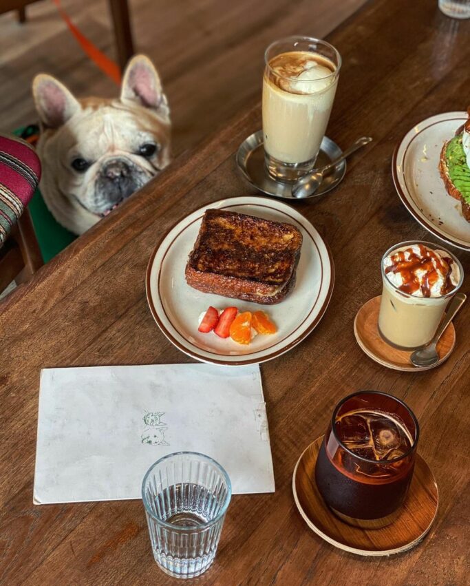 【新北景點推薦】新北一日遊好玩景點！最新新北旅遊景點地圖全攻略