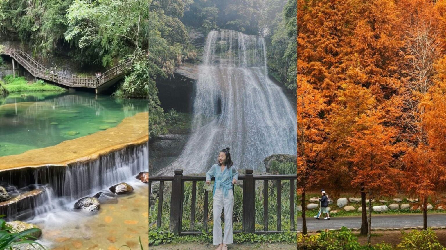 杉林溪一日遊必拍景點、門票優惠、賞螢花季、交通攻略｜杉林溪森林生態渡假園區