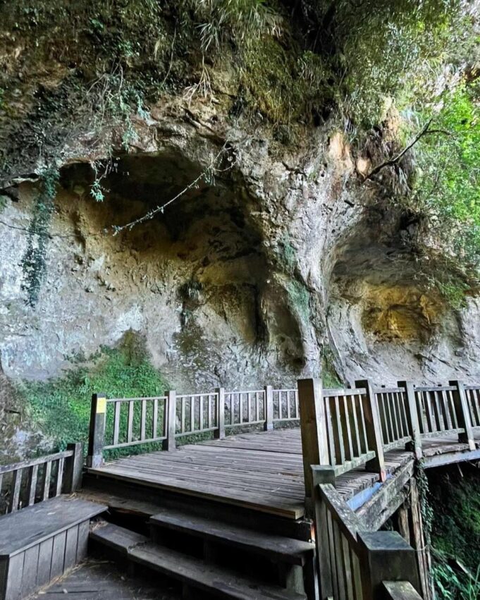 杉林溪一日遊必拍景點、門票優惠、賞螢花季、交通攻略|杉林溪森林生態渡假園區 杉林溪天地眼, 杉林溪景點