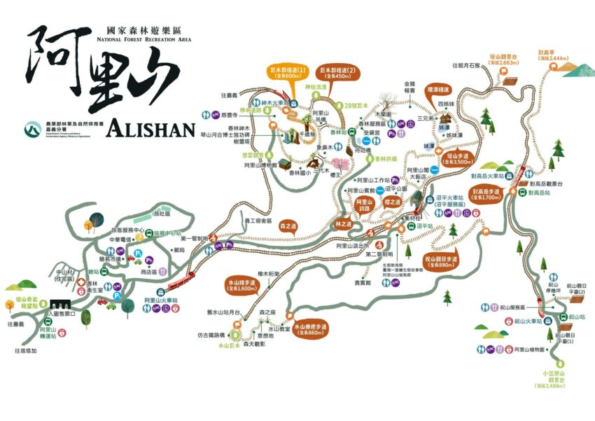 【阿里山國家森林遊樂區】阿里山森林遊樂區怎麼玩?一篇交通/景點/住宿/美食全攻略 【阿里山國家森林遊樂區】阿里山森林遊樂區怎麼玩?一篇交通/景點/住宿/美食全攻略