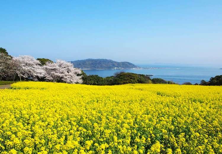 最新【福岡景點推薦】日本福岡一日遊必去景點，福岡旅遊就看這篇！