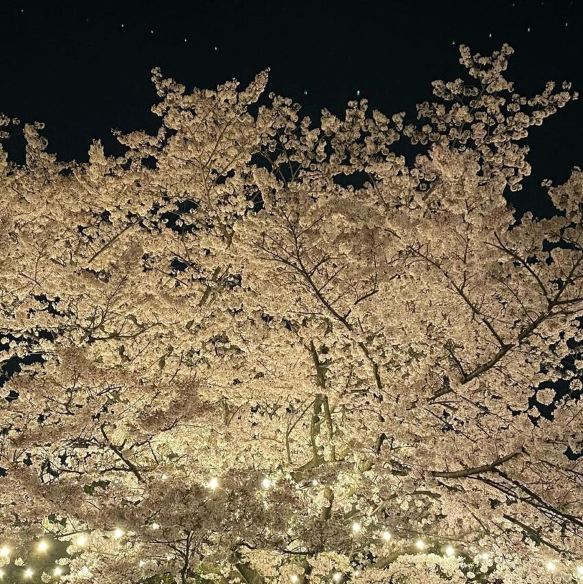 最新【福岡景點推薦】日本福岡一日遊必去景點，福岡旅遊就看這篇！