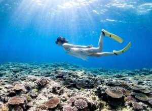 石垣島、石垣島景點、石垣島自由行、沖繩石垣島、日本石垣島、石垣島潛水