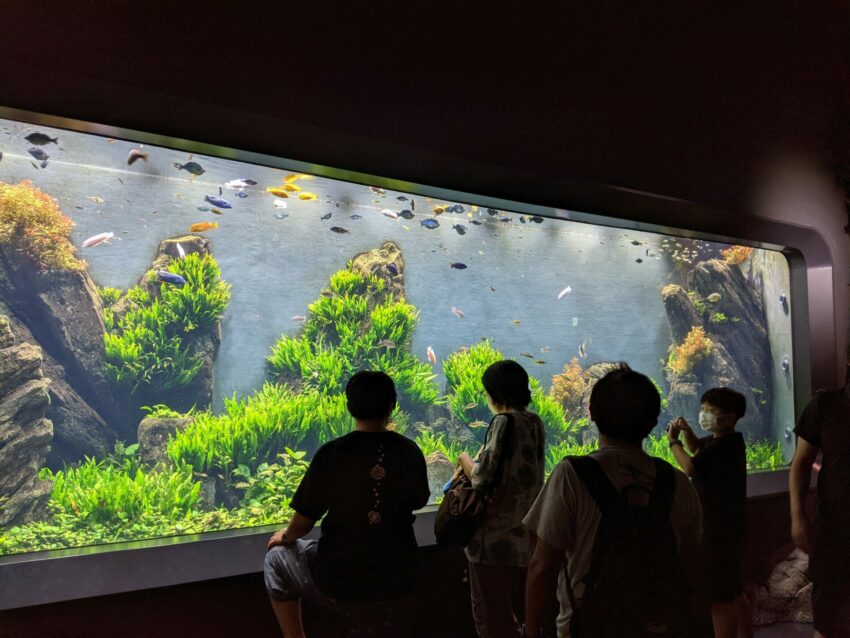 沖繩旅遊推薦【Okinawa FunPASS】用沖繩FunPASS讓你暢玩沖繩超精省！沖繩景點優惠/美食/購物折扣/租車優惠